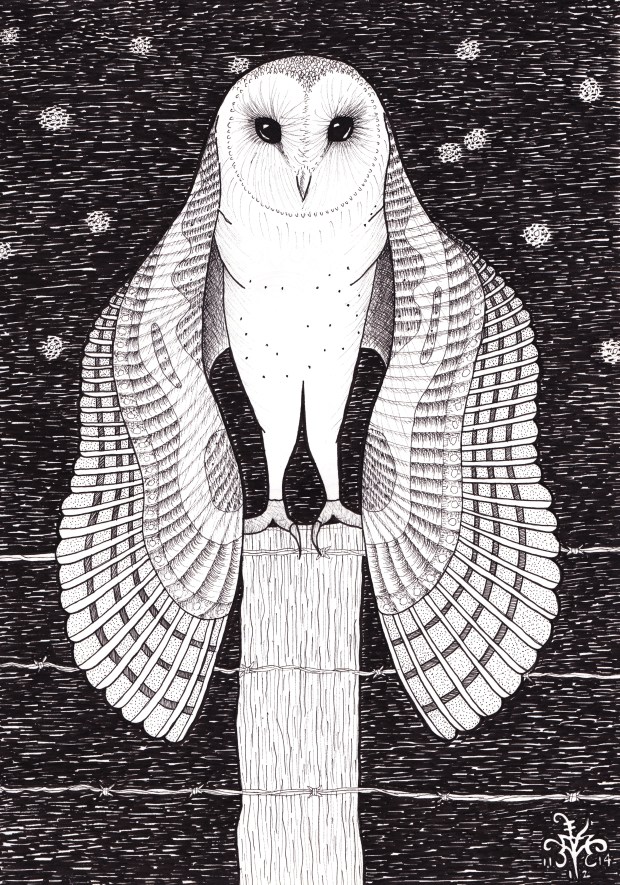 Barn Owl by Athena Mariah LaRue